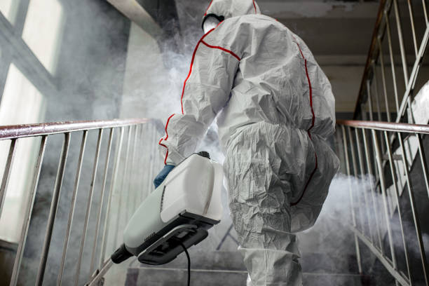 Professional Mold Removal in Richardson, TX